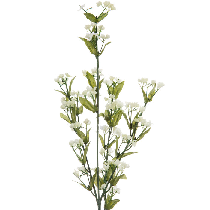 Ivory Gypsophila Stem Hobby Lobby 735373