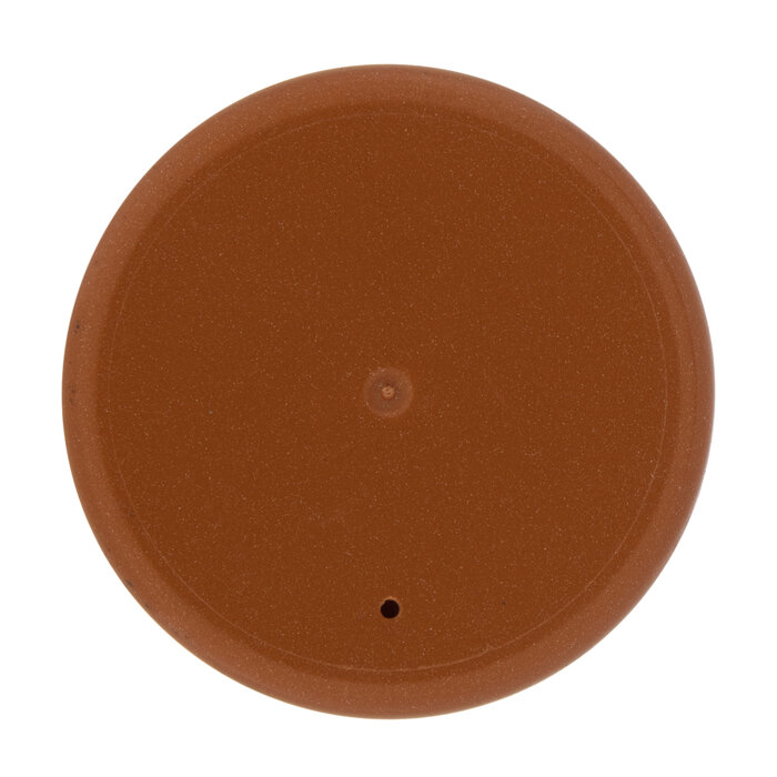 Fiery Orange Testors Extreme Lacquer Spray Paint Hobby Lobby 317487