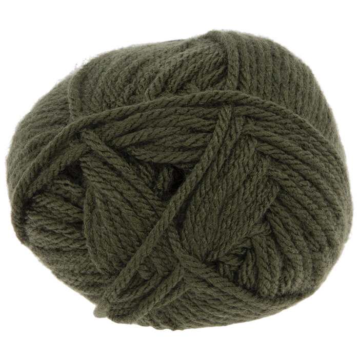 Olive Yarn Bee Soft & Sleek Chunky Yarn Hobby Lobby 2196343