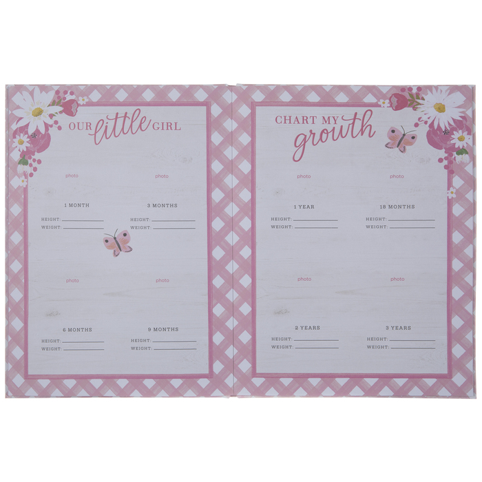 Pink Plaid Hello Baby Memory Book Hobby Lobby 2020618