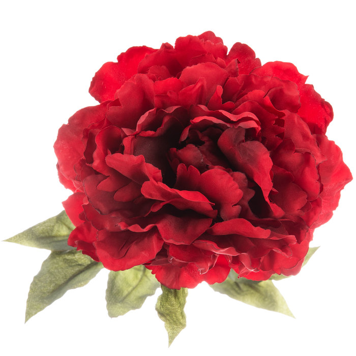 Deep Red Peony Stem Hobby Lobby 799890