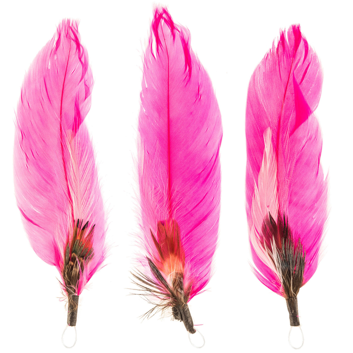 Pheasant & Goose Feathers Hobby Lobby 573485