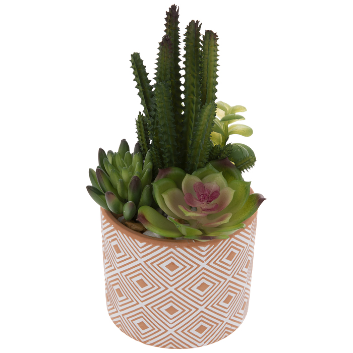 Succulents In Terra Cotta Pot Hobby Lobby 1734128