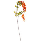  Category Flower Stems