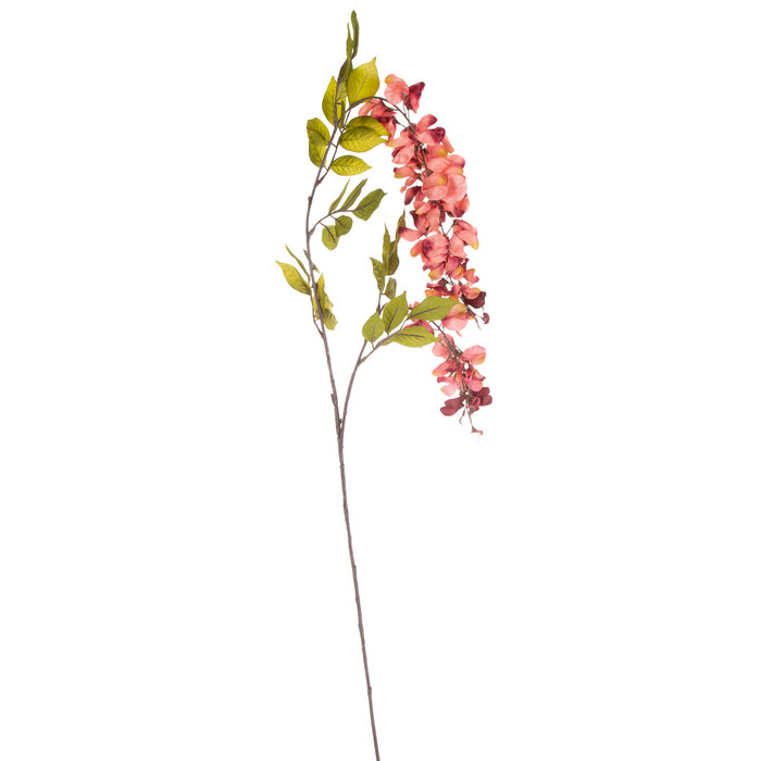 Rose Wisteria Stem Hobby Lobby 396804
