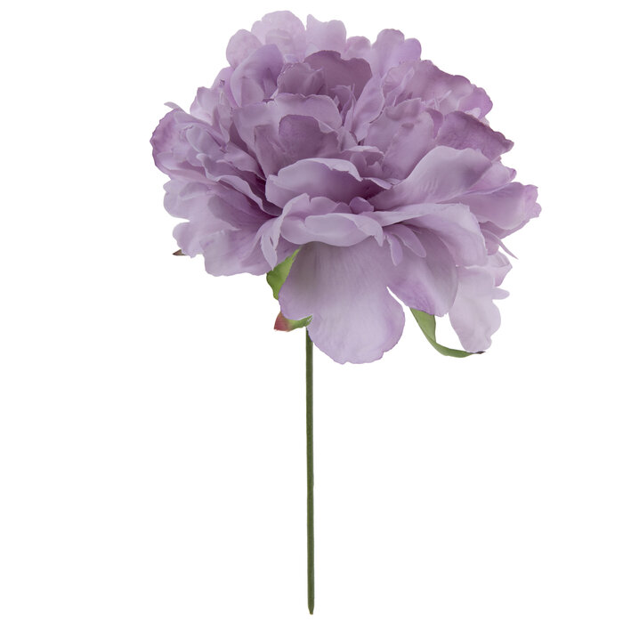 Peony Pick Hobby Lobby