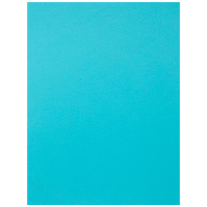 25 Turquoise Canson Colorline Paper Hobby Lobby 2267557