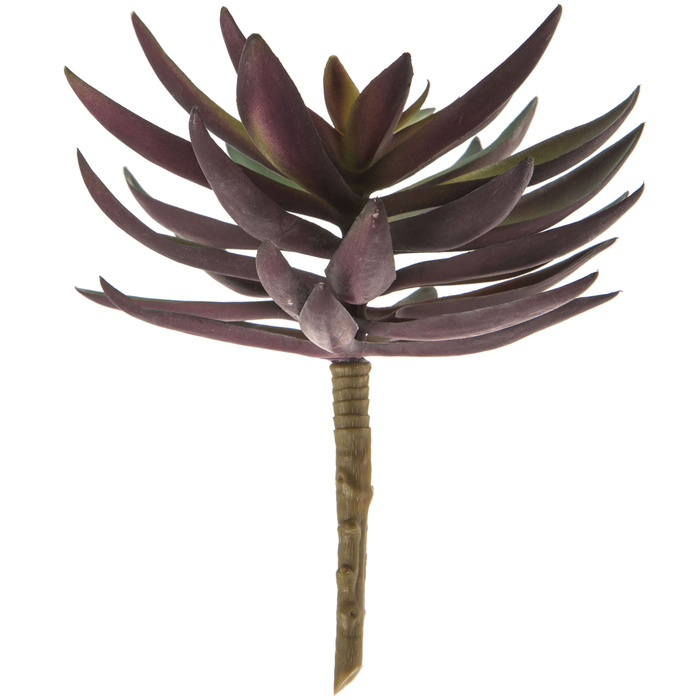 Lotus Pick Hobby Lobby 1563782