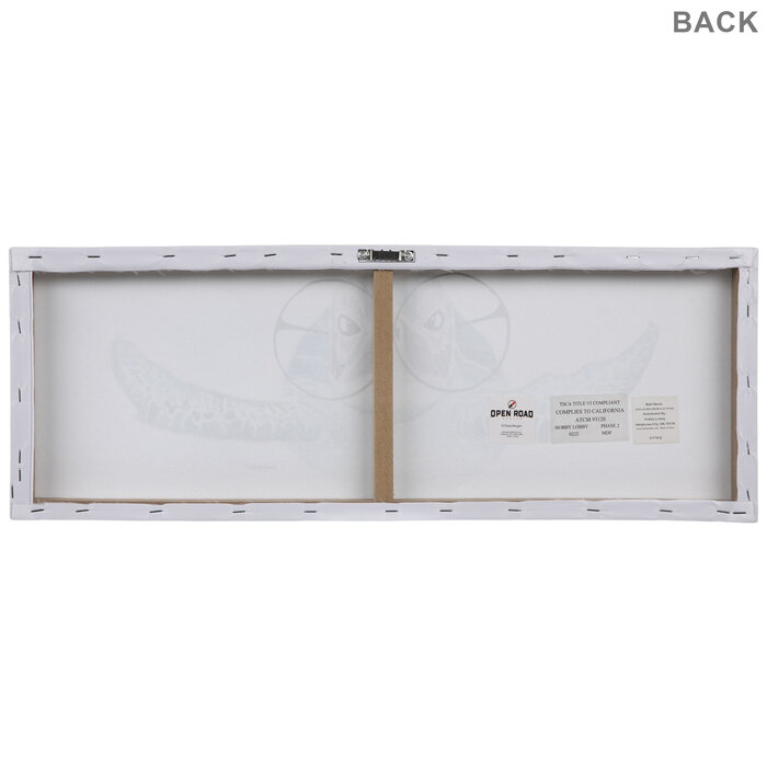 Sea Turtle Wearing Glasses Canvas Wall Decor Hobby Lobby 2177012