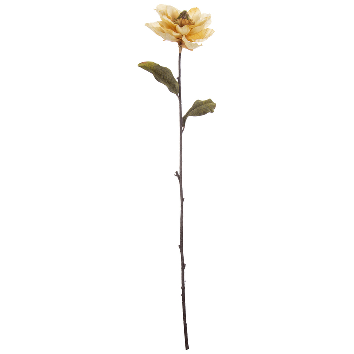 Cream Magnolia Stem Hobby Lobby 538959