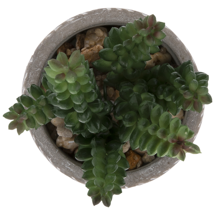 Carved Cement Pot With Succulents Hobby Lobby 1733377