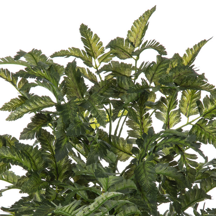 Pictum Fern Bush Hobby Lobby 724690