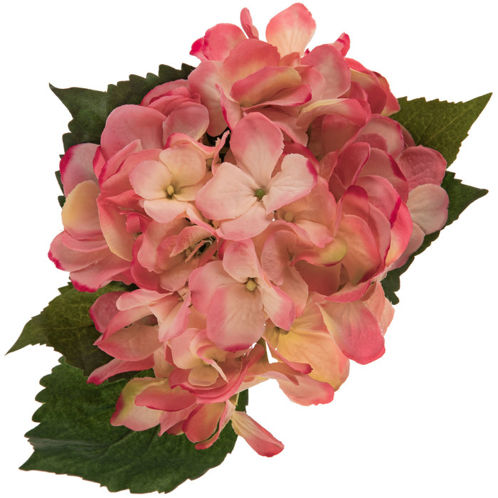 Pink Hydrangea Stem Hobby Lobby 744987