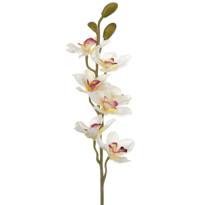 White Cymbidium Orchid Stem Hobby Lobby 701896