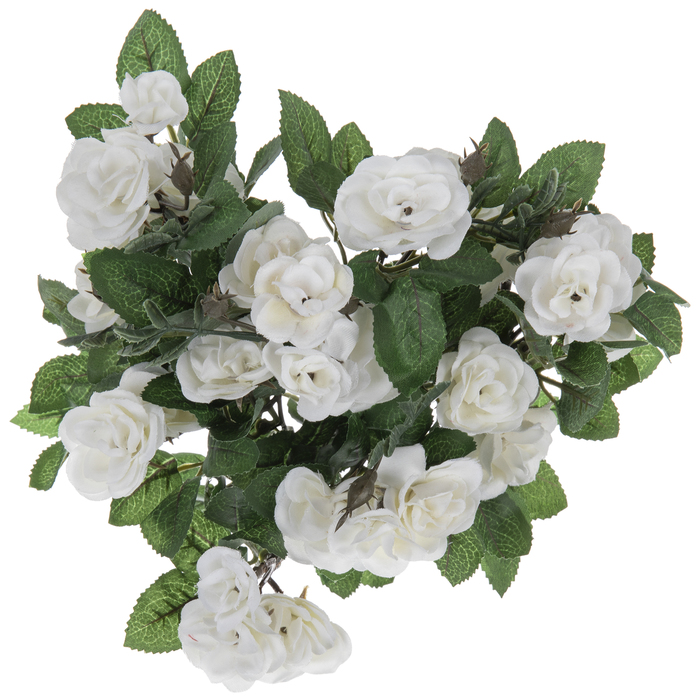 White Mini Rose Bush Hobby Lobby 914697