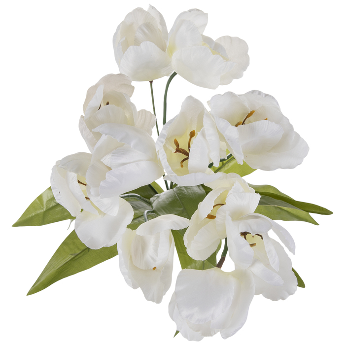 Tulip Bush Hobby Lobby