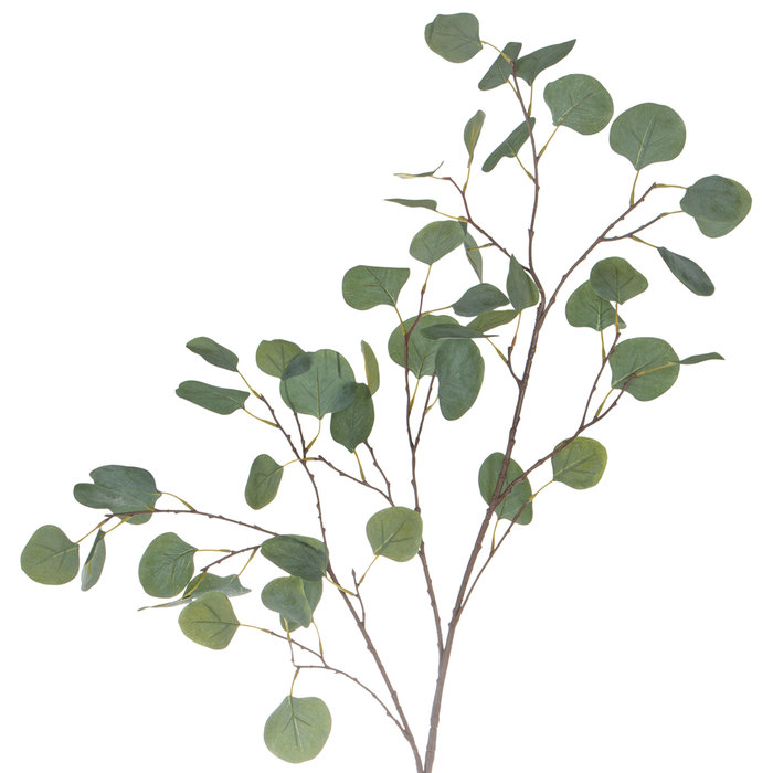 Eucalyptus Spray Hobby Lobby 1747773