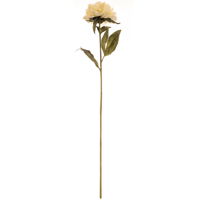 Cream Peony Stem Hobby Lobby 792440