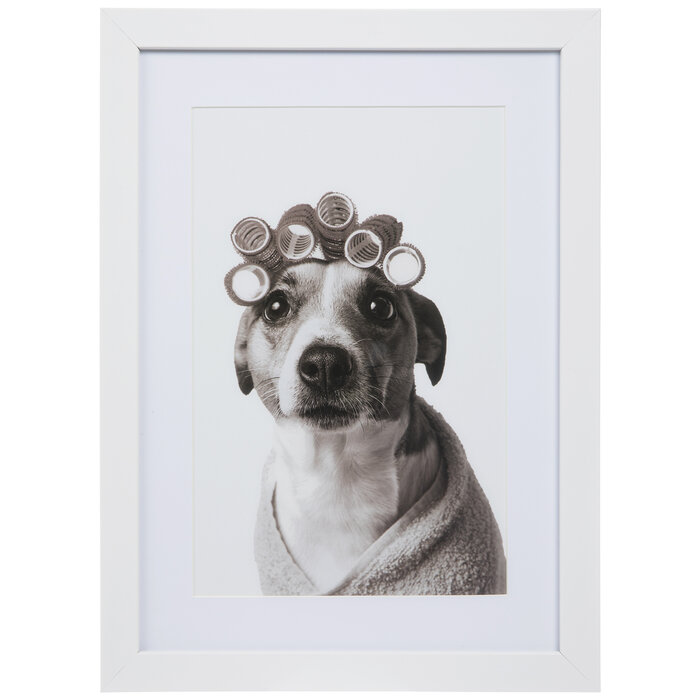 Hair Rollers Dog Hobby Lobby 2180602