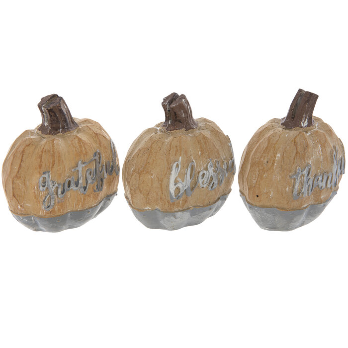 Brown & Gray Pumpkin Placeholders Hobby Lobby 5363031