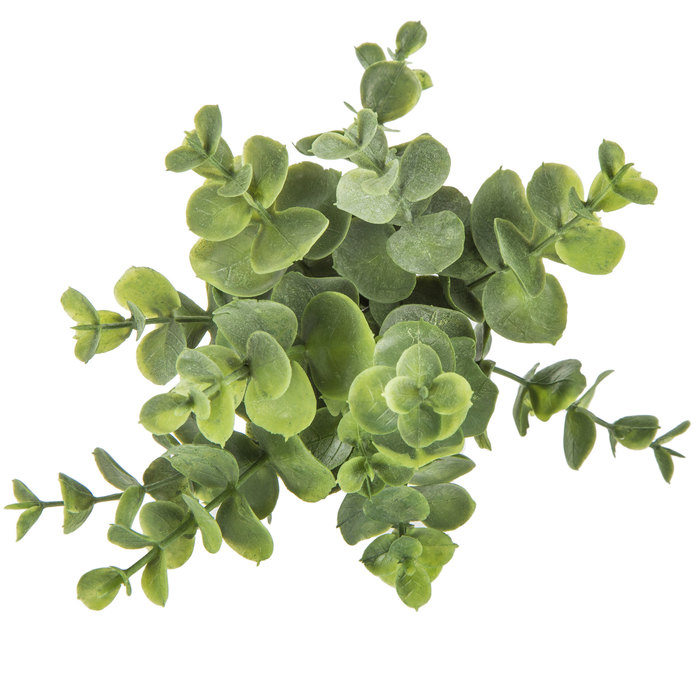 Eucalyptus Pick Hobby Lobby 1564269