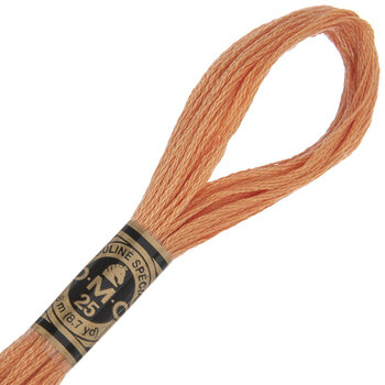 402 Very Light Mahogany Dmc Cotton Embroidery Floss Hobby Lobby 106249