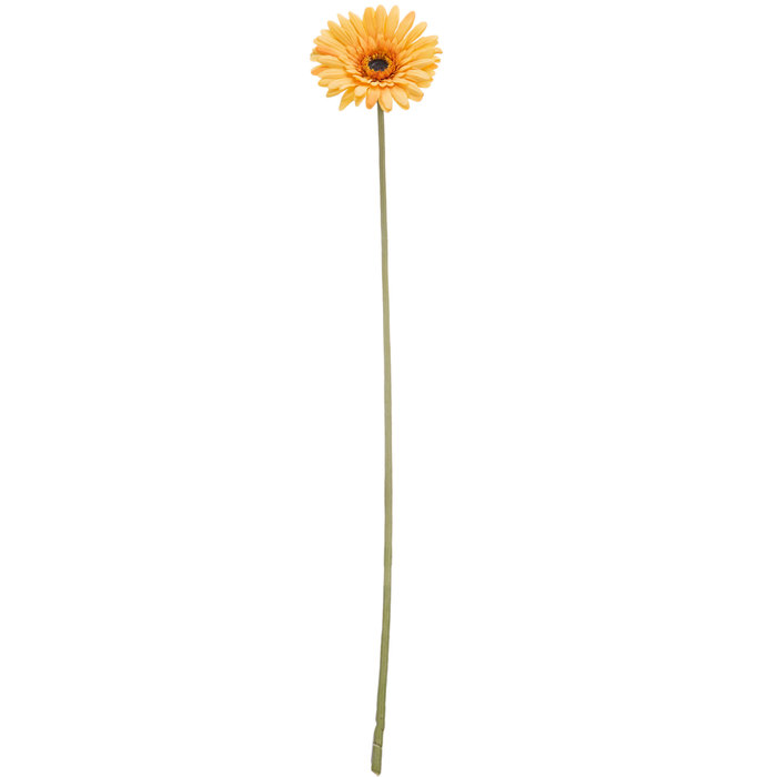 Gold Gerbera Daisy Stem Hobby Lobby 793331