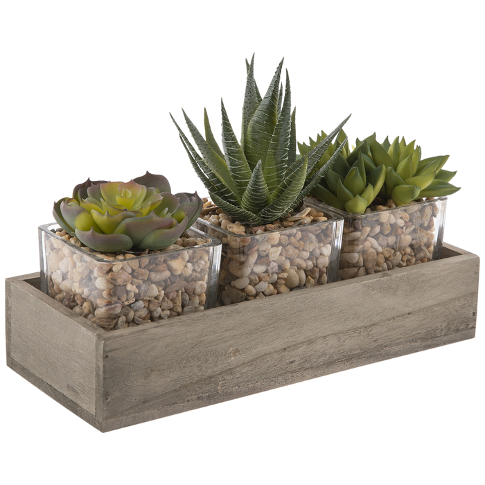 Succulent Trio In Wood Box Hobby Lobby