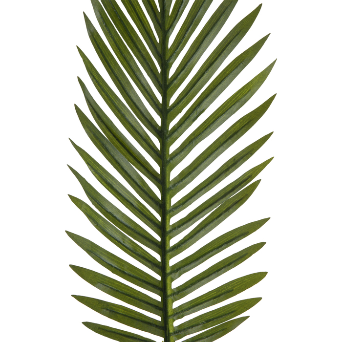 Palm Leaves Hobby Lobby 1939214