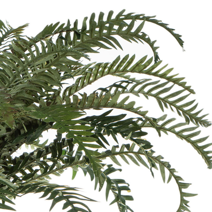 Green Sword Fern Bush Hobby Lobby 519165