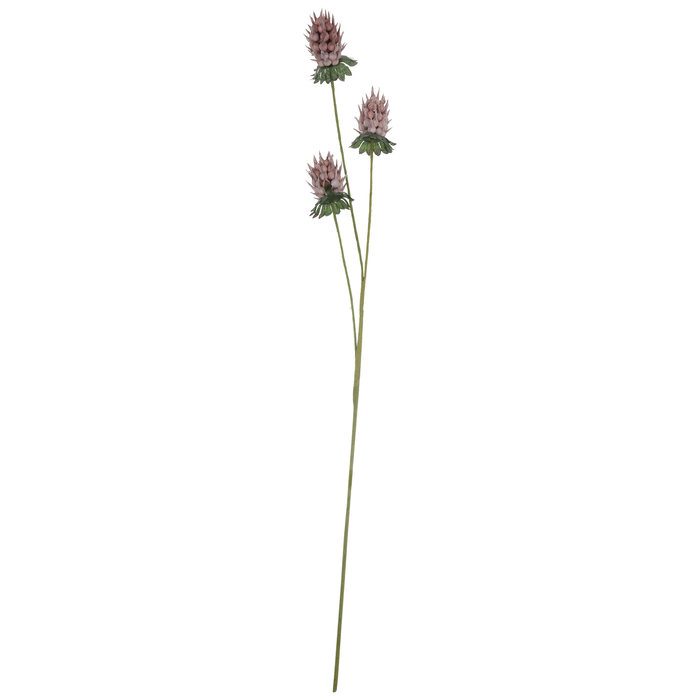 Pink Cynara Stem Hobby Lobby 538066