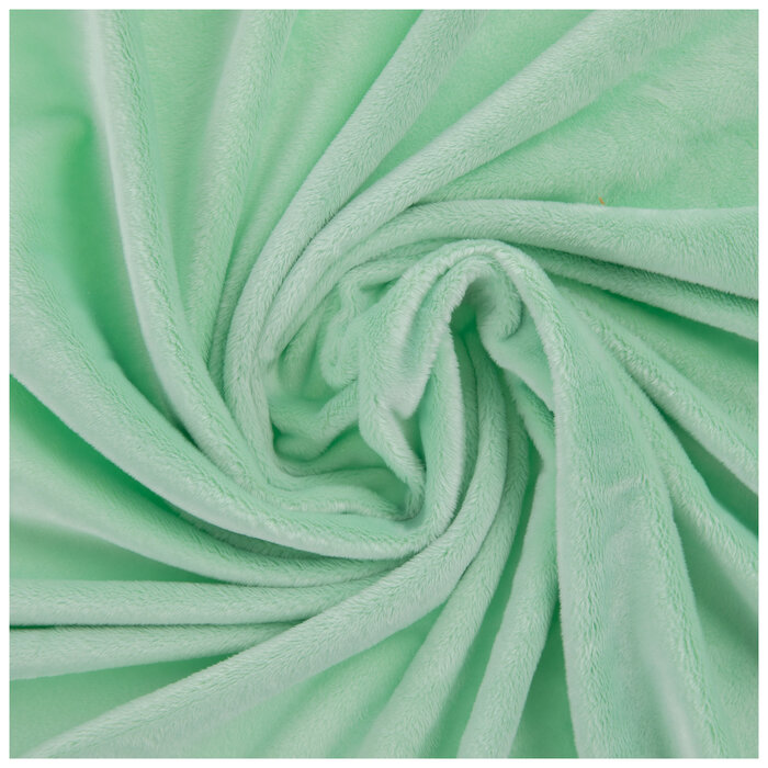 Sage Minky Fleece Fabric Hobby Lobby 2201416