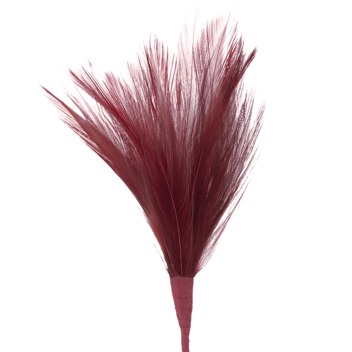 Red Feather Pick Hobby Lobby 2014447