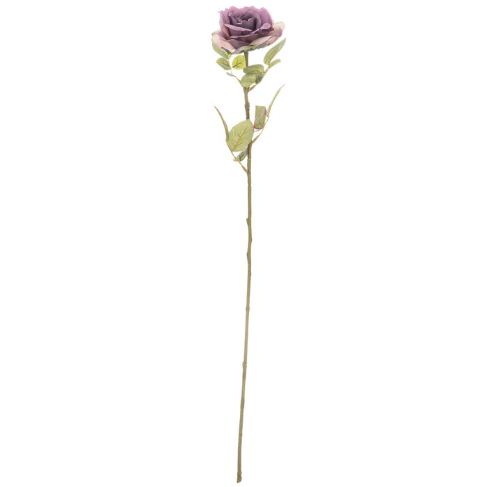 Purple Rose Stem Hobby Lobby 792234