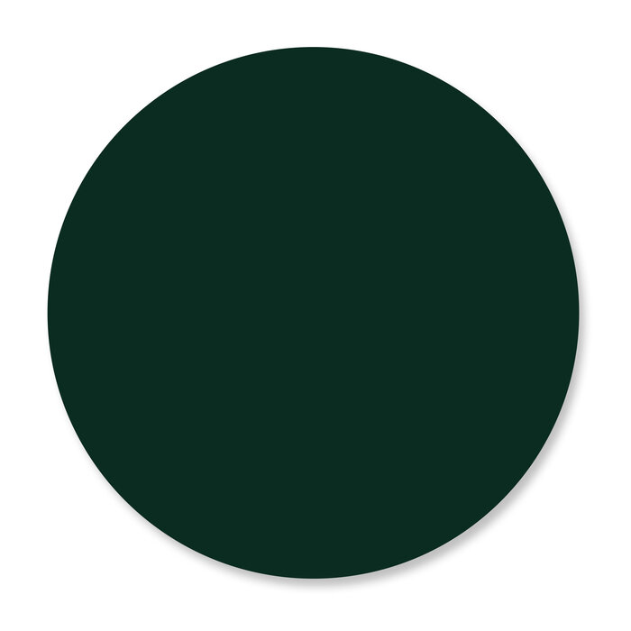 Hunter Green Anita's Acrylic Craft Paint Hobby Lobby 668954