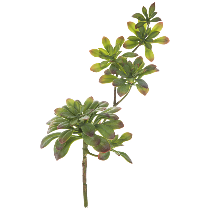 Trailing Echeveria Succulent Pick Hobby Lobby 1721513