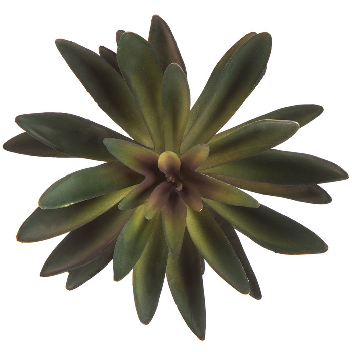 Lotus Pick Hobby Lobby 1563782