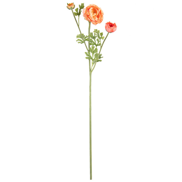 Peach Ranunculus Stem Hobby Lobby 121756