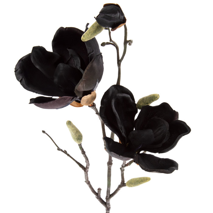 Black Magnolia Stem Hobby Lobby 1397660