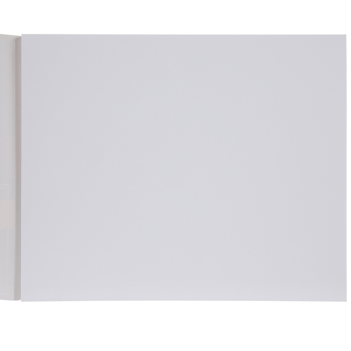 Vellum Bristol Paper Pad 14" x 17" Hobby Lobby 2051332