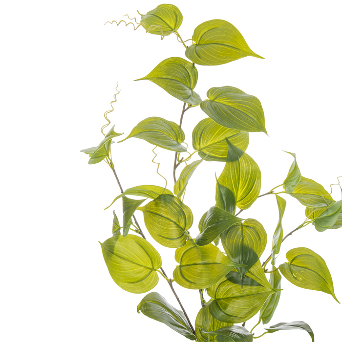 Evergreen Spray Hobby Lobby 1749282