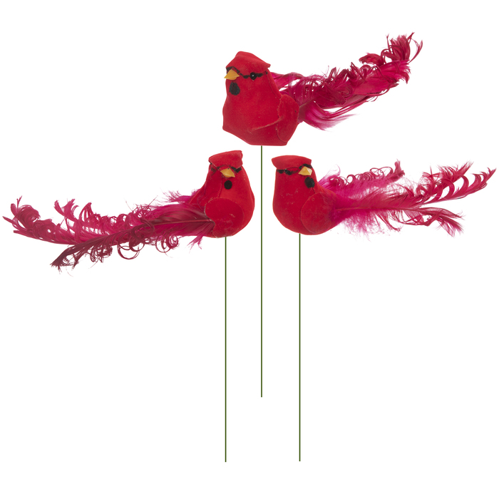 Red Curly Tail Feather Birds Hobby Lobby 754416