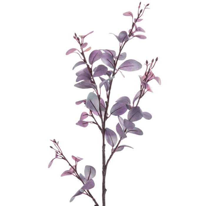 Eucalyptus Spray Hobby Lobby