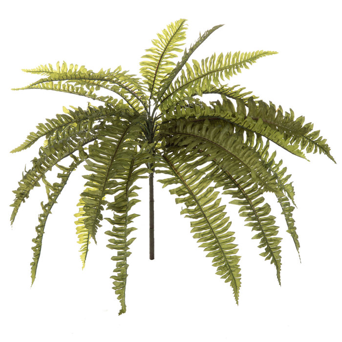 Frosted Boston Fern Bush Hobby Lobby 886663