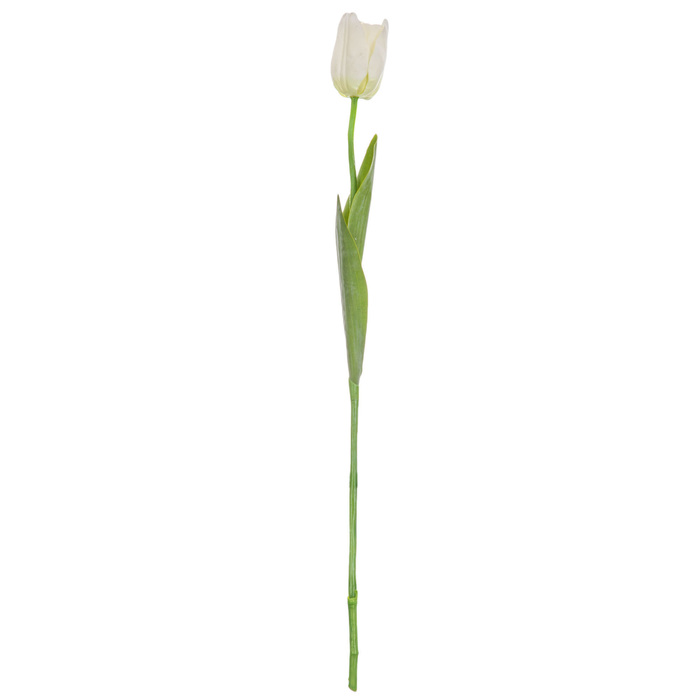 White Garden Tulip Stem Hobby Lobby 587436