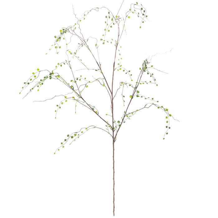 Green Small Money Leaf Branch Hobby Lobby 217166