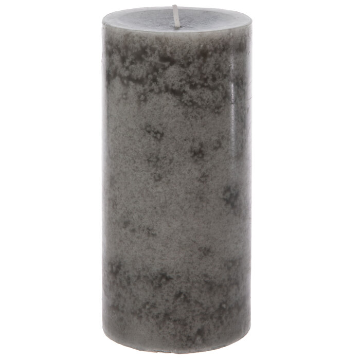 Silver Birch Pillar Candle 2 3/4" x 6" Hobby Lobby 1267665