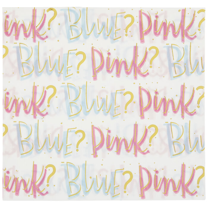 Gender Reveal Napkins Large Hobby Lobby 2117703