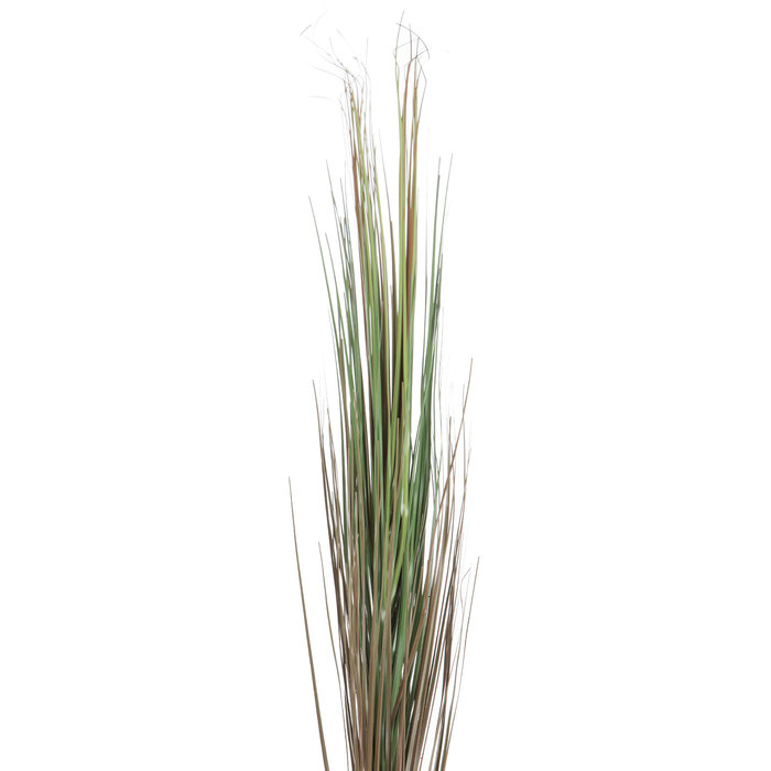 Onion Grass Spray Hobby Lobby 222927