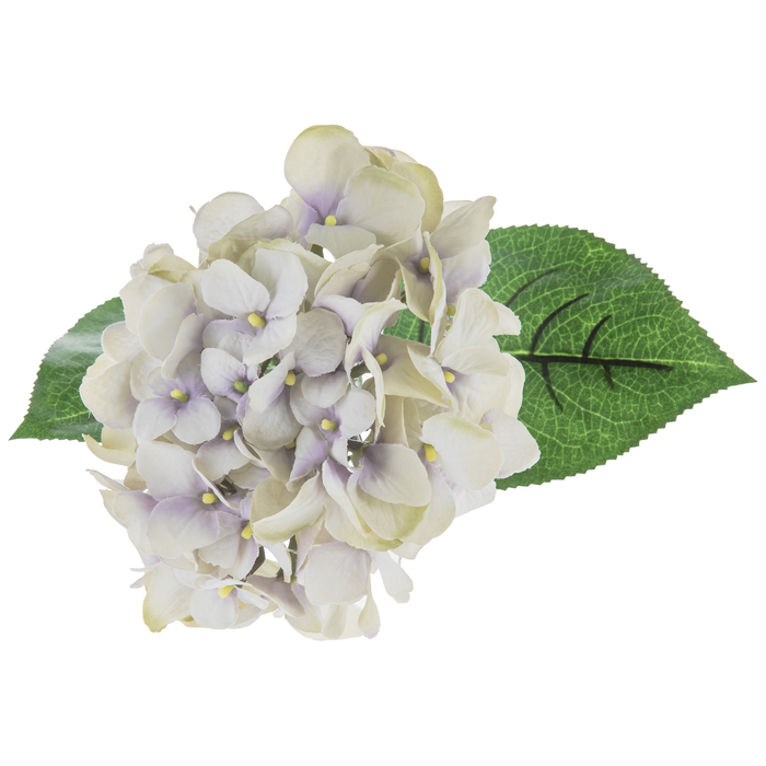 Hydrangea Stem Hobby Lobby